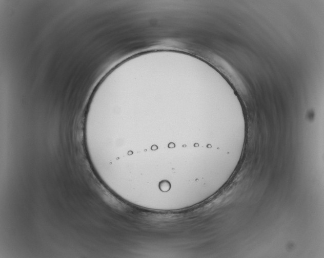 X0000116891292201001191757