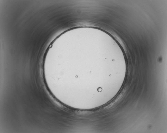 X0000116891293201001191757