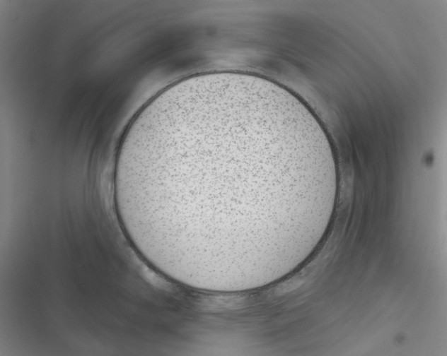 X0000116891294201001191757