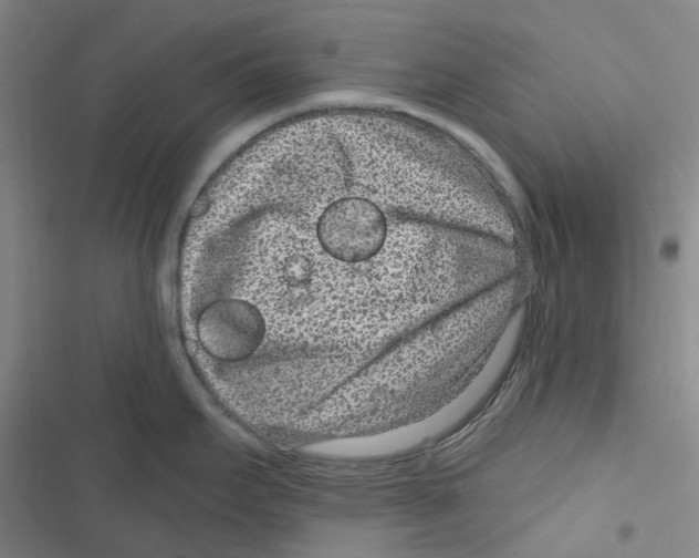 X0000116891295201001191757