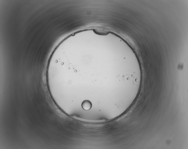 X0000116891296201001191757