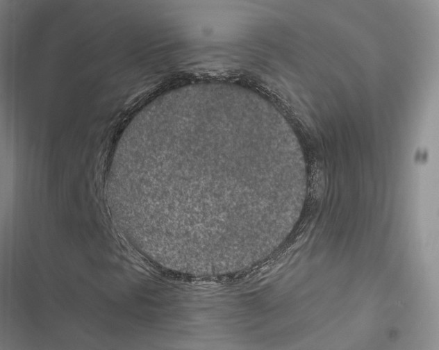 X0000116891297201001191757