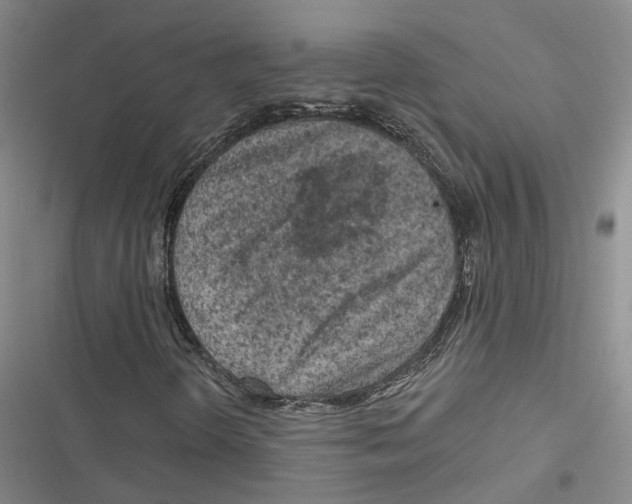 X0000116891298201001191757