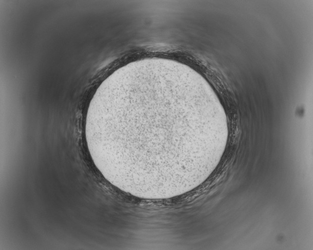 X0000116891301201001191757