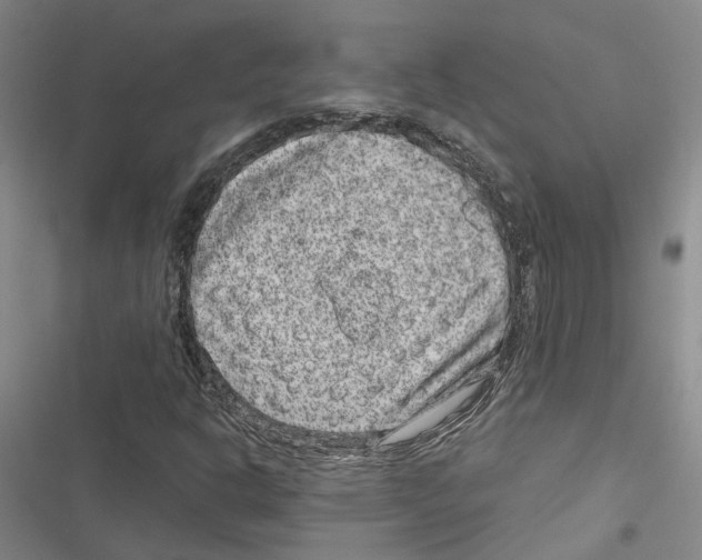 X0000116891302201001191757