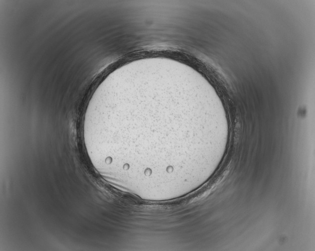 X0000116891305201001191757