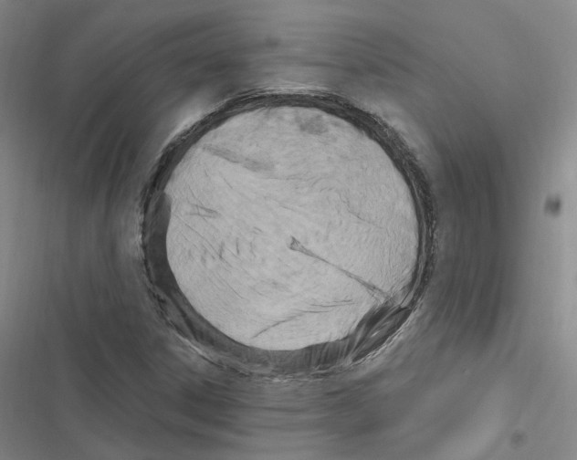 X0000116891306201001191757