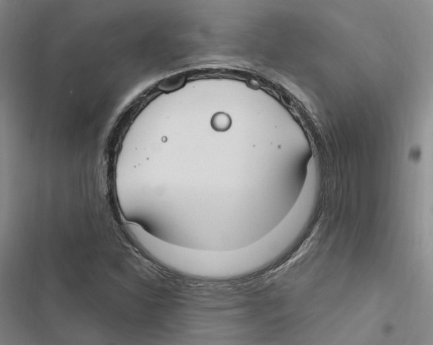 X0000116891310201001191757