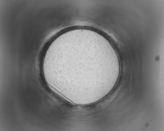 X0000116891311201001191757