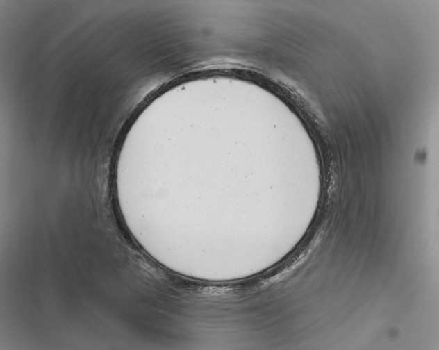 X0000116891313201001191757