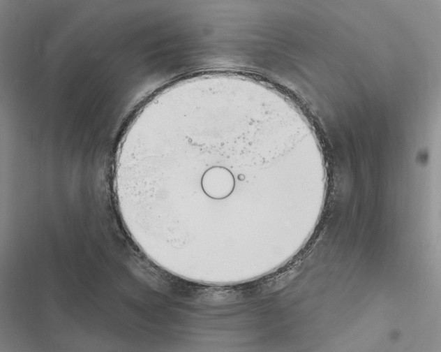 X0000116891314201001191757