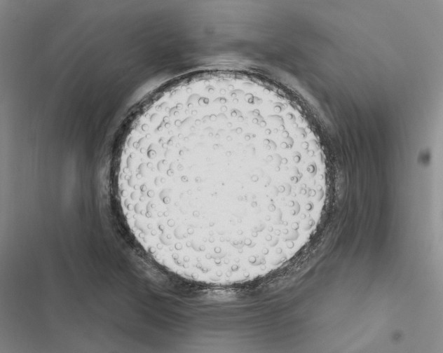 X0000116891315201001191757