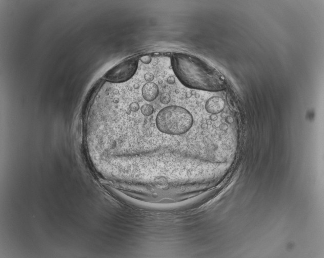 X0000116891317201001191757