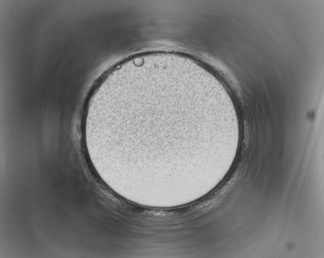 X0000116891318201001191757