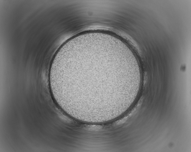 X0000116891321201001191757