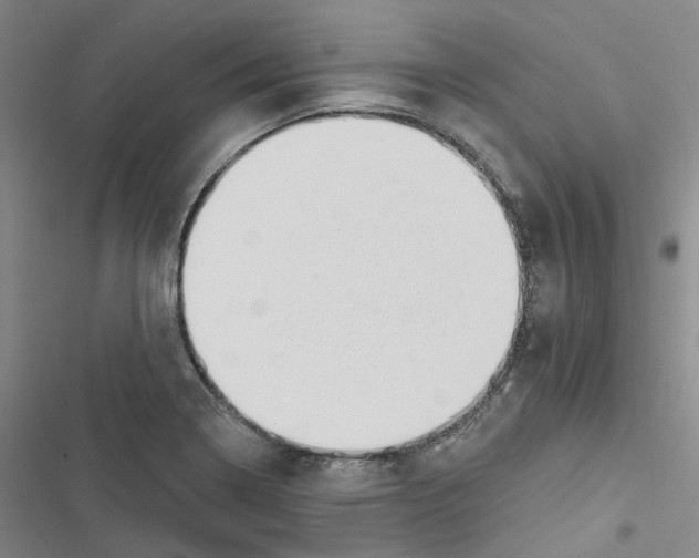 X0000116891322201001191757