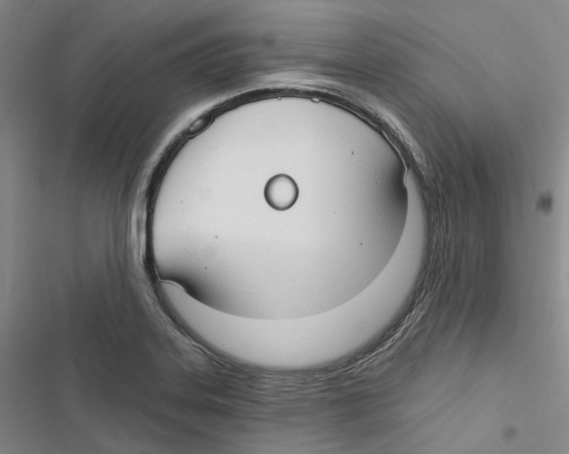 X0000116891323201001191757