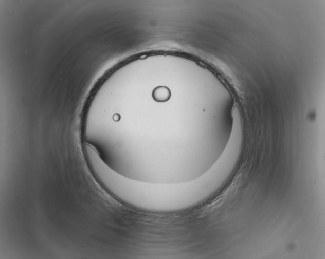 X0000116891326201001191757