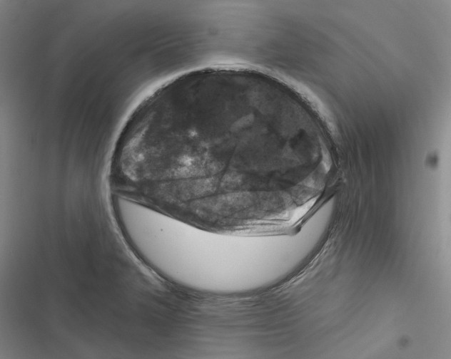 X0000116891327201001191757