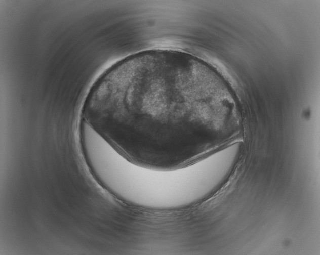 X0000116891331201001191757