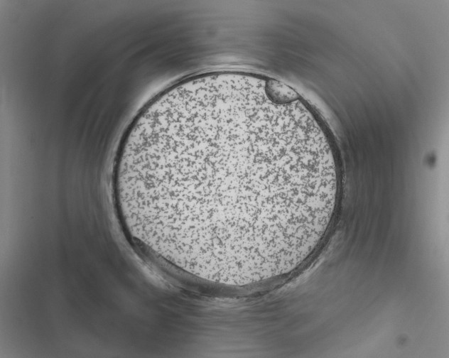 X0000116891333201001191757