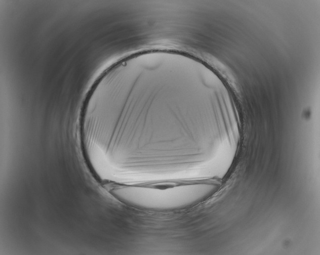 X0000116891334201001191757