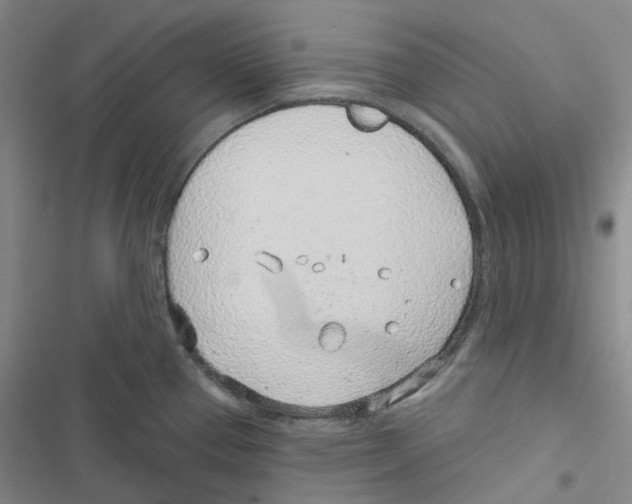 X0000116891337201001191757