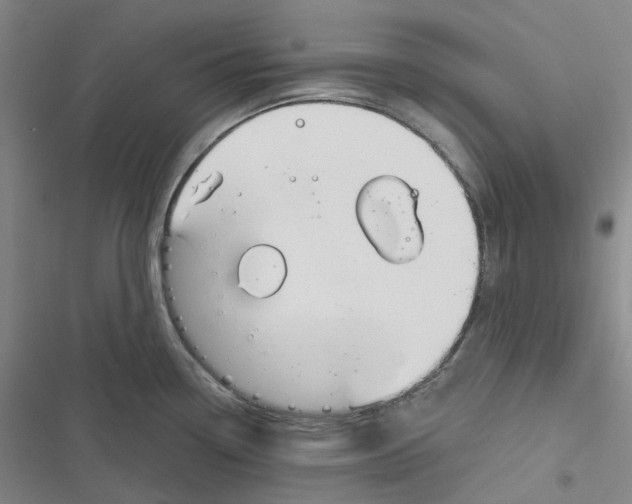 X0000116891338201001191757