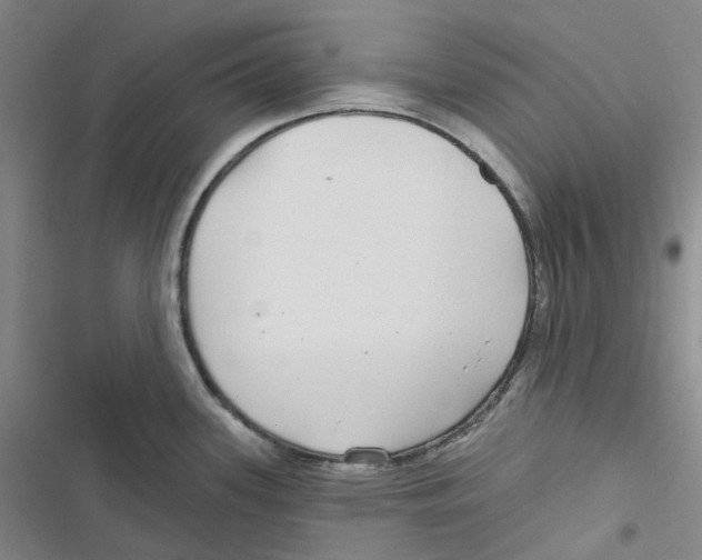 X0000116891339201001191757