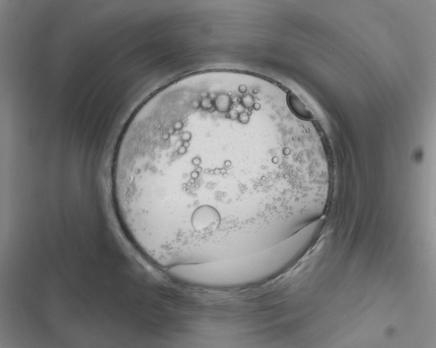 X0000116891341201001191757