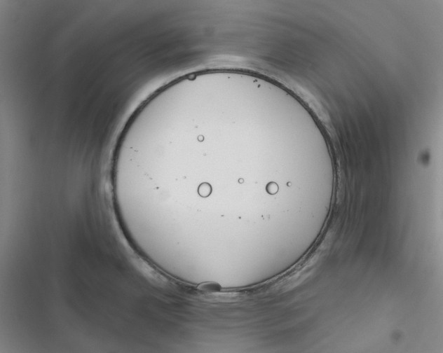 X0000116891342201001191757