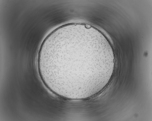 X0000116891343201001191757