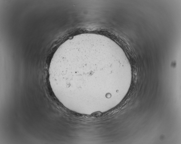 X0000116891349201001191757