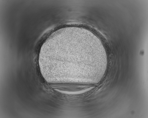 X0000116891351201001191757