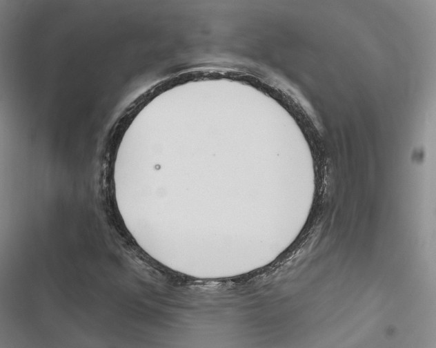 X0000116891352201001191757