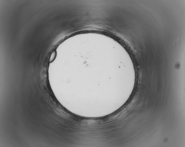 X0000116891355201001191757