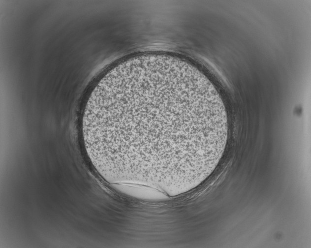 X0000116891356201001191757