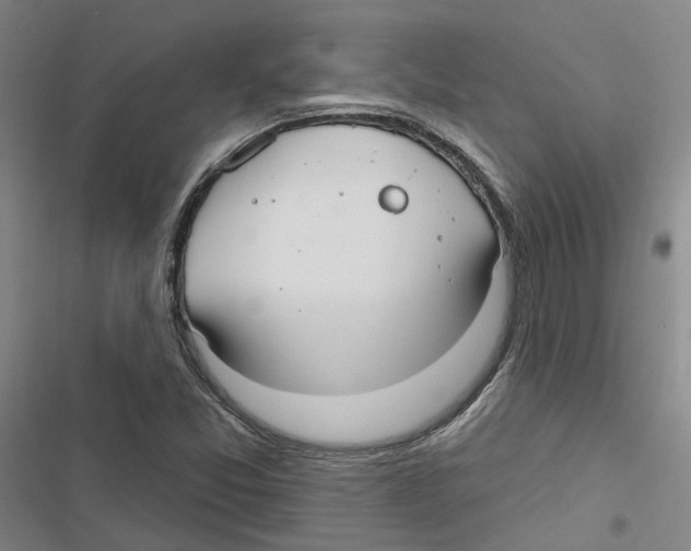 X0000116891357201001191757