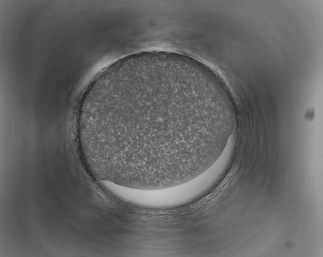 X0000116891359201001191757