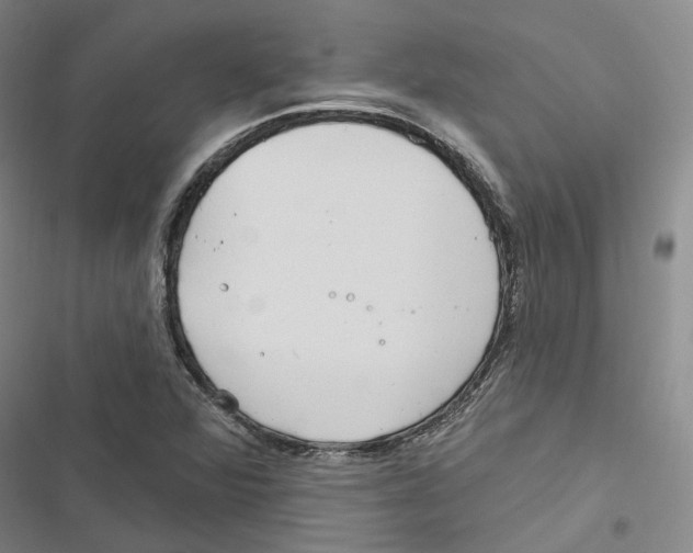 X0000116891360201001191757