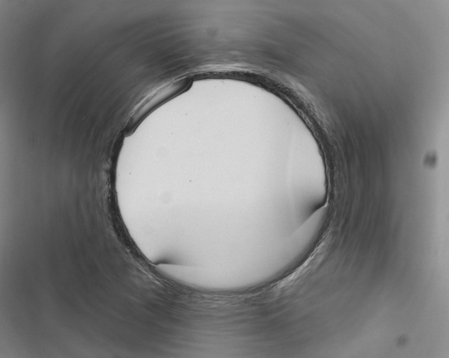 X0000116891361201001191756