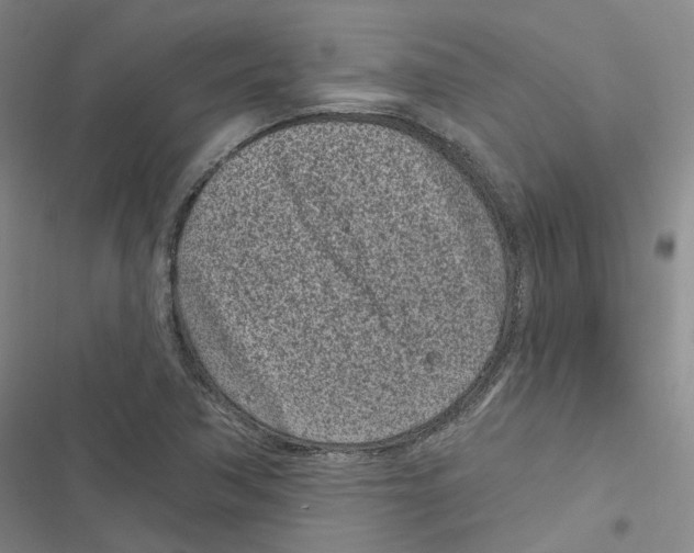 X0000116891362201001191756