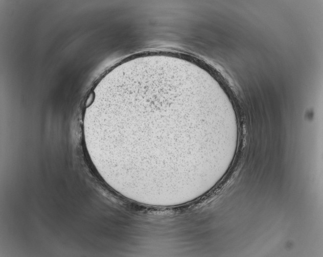 X0000116891363201001191756