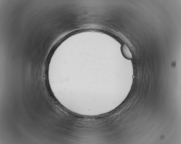 X0000116891364201001191756