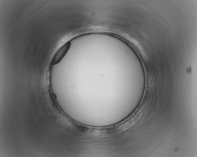 X0000116891365201001191756