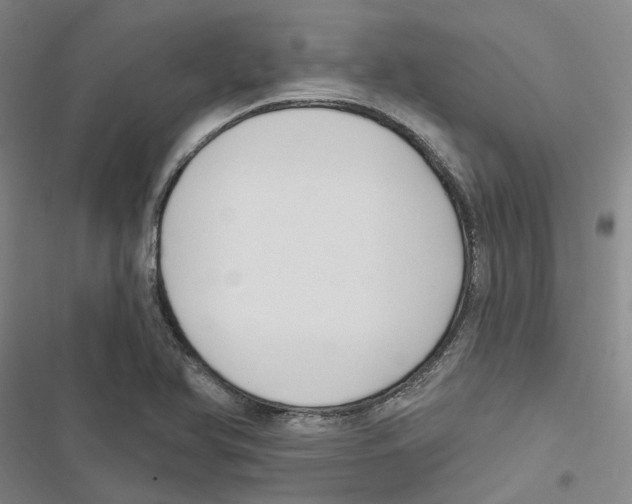 X0000116891366201001191756