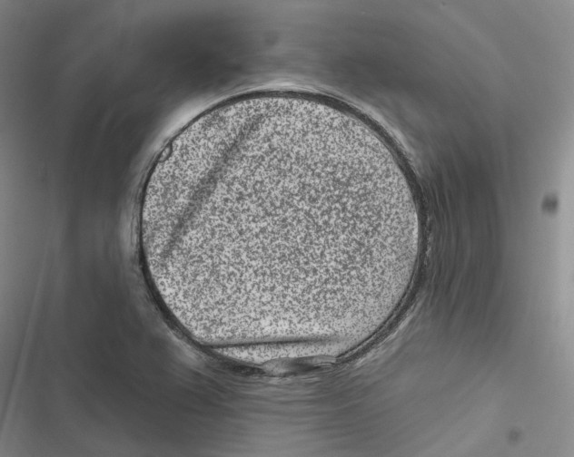 X0000116891367201001191756