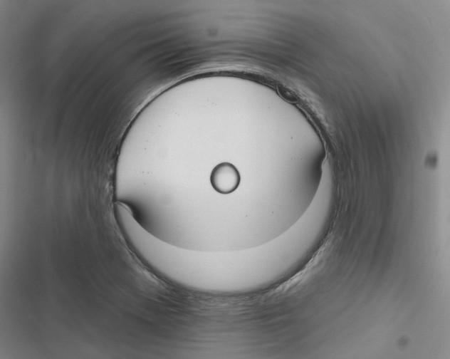 X0000116891369201001191756