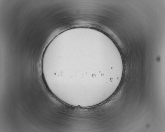 X0000116891370201001191756