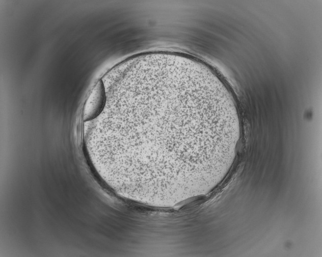 X0000116891371201001191756